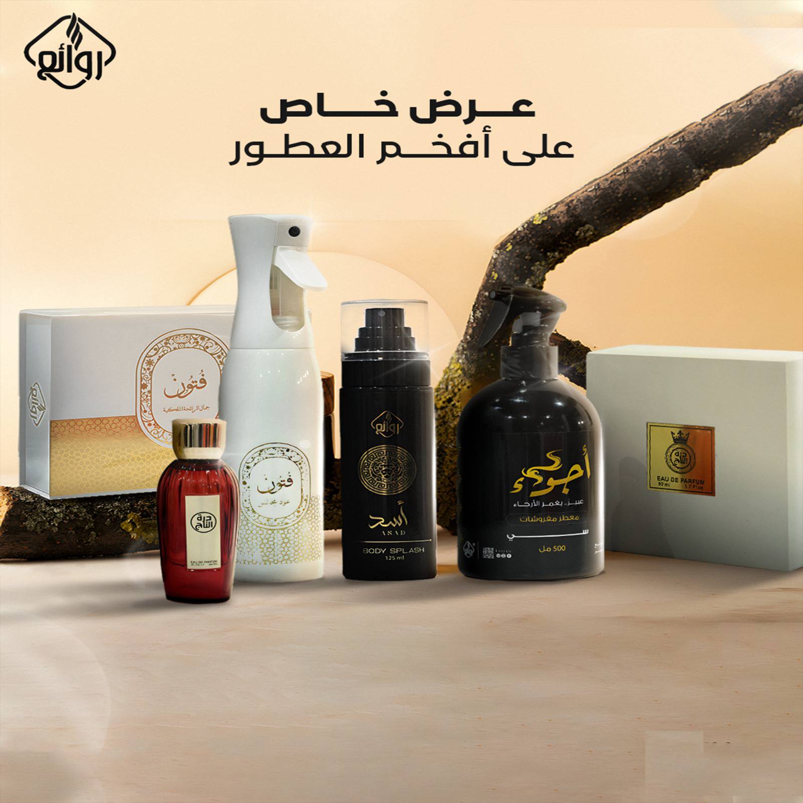 509516086_122115022364887792_630321580579376997_n